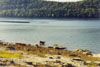 2000.24.28: Beach with Sascha and Bosco in the Shallows